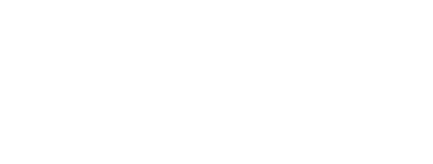 Launch